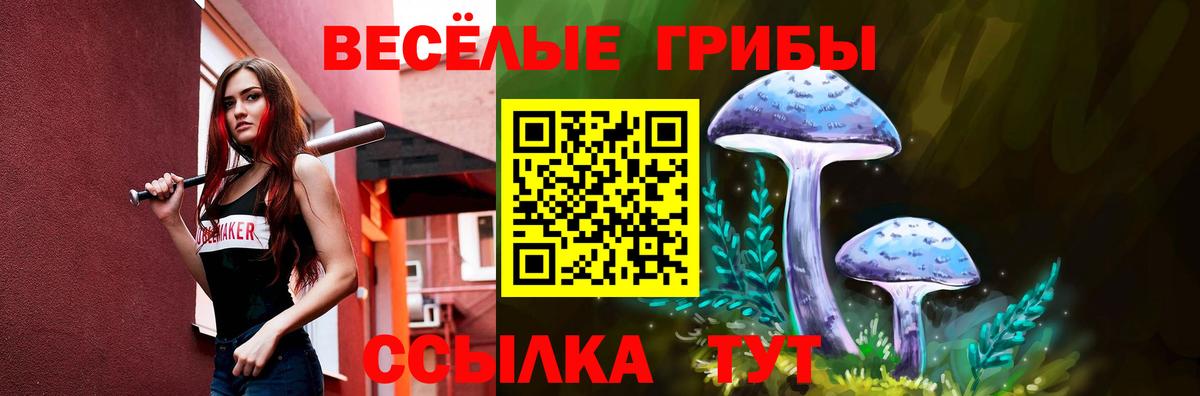 Галлюциногенные грибы MAGIC MUSHROOMS  Вход с VPN  Татарск 